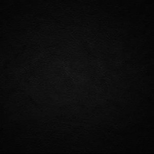 刘涛穿三角裤头的照片
